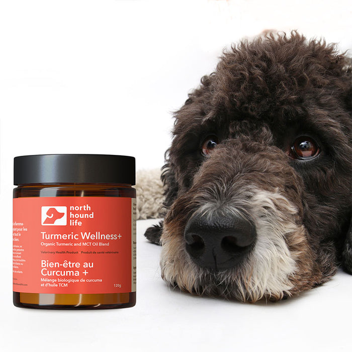 North Hound Life Tumeric Wellness+ 120g