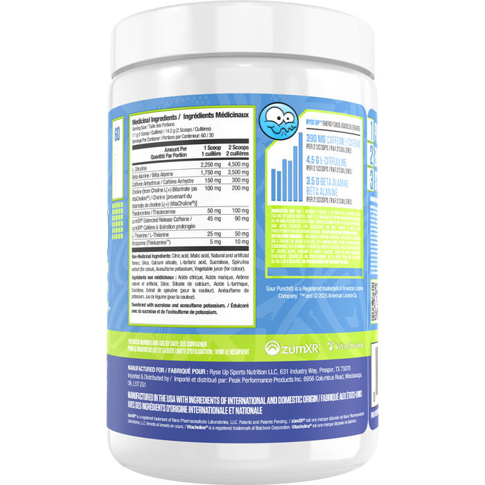 Ryse Loaded Pre 420g  (30)