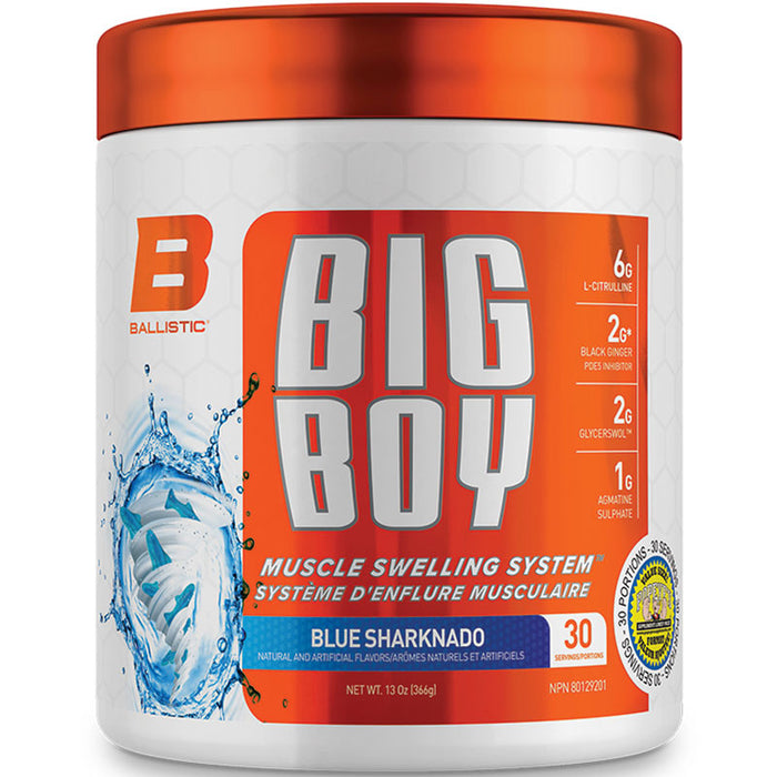 Ballistic Labs Big Boy 366g (30 Servings)