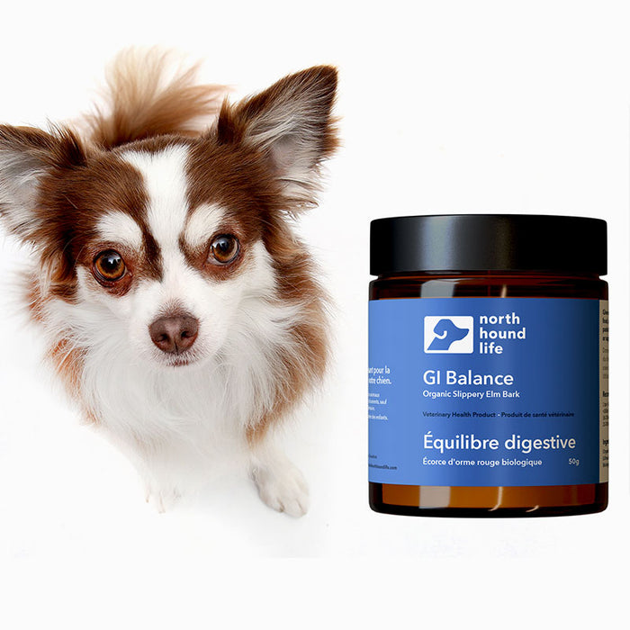 North Hound Life GI Balance 50g