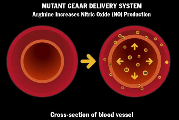 Mutant GEAAR 378g (30 Servings)