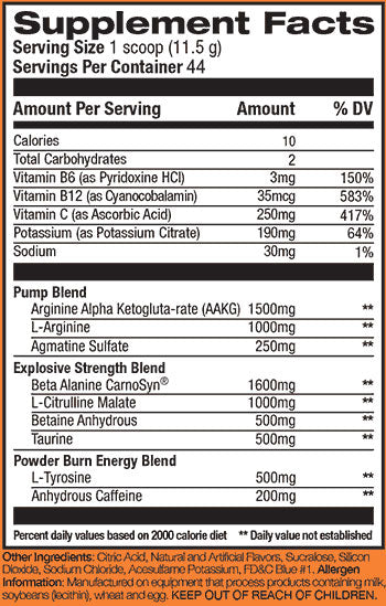 Rival Nutrition Powder Burn 2.0 506g (44 Servings)